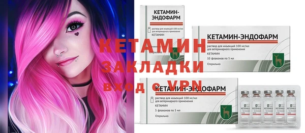 стаф Ельня