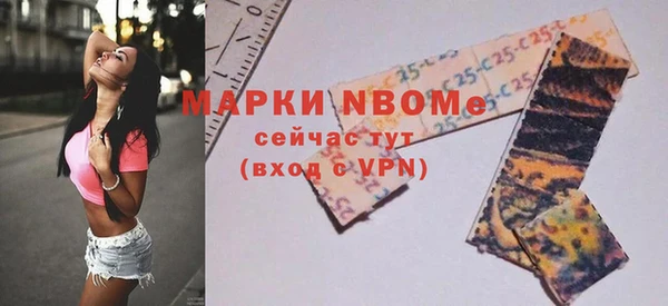 стаф Ельня