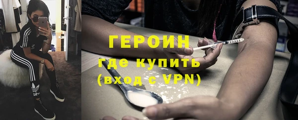 стаф Ельня