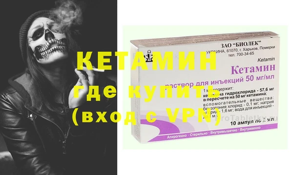 стаф Ельня
