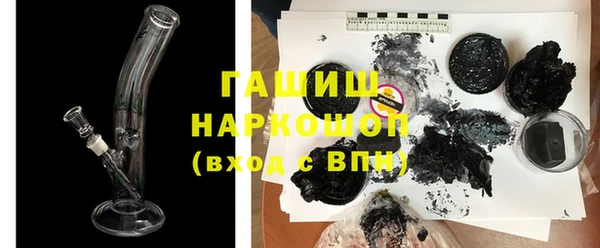 стаф Ельня