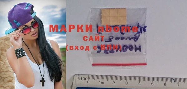 стаф Ельня