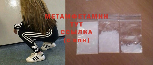 стаф Ельня