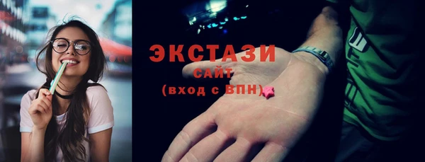 стаф Ельня