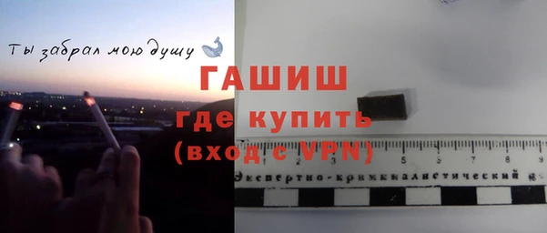стаф Ельня