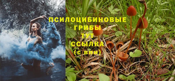 не бодяженный Елизово