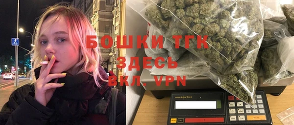 стаф Ельня