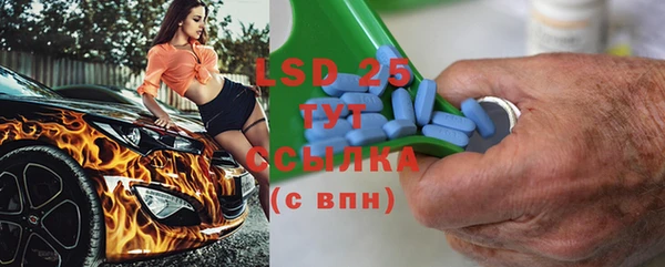 стаф Ельня