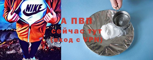 стаф Ельня