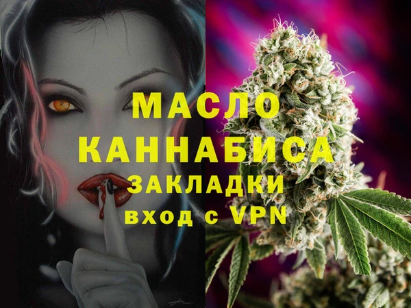 стаф Ельня