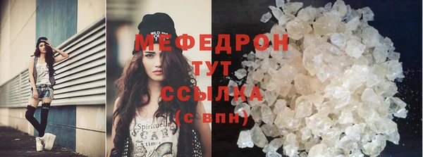 стаф Ельня