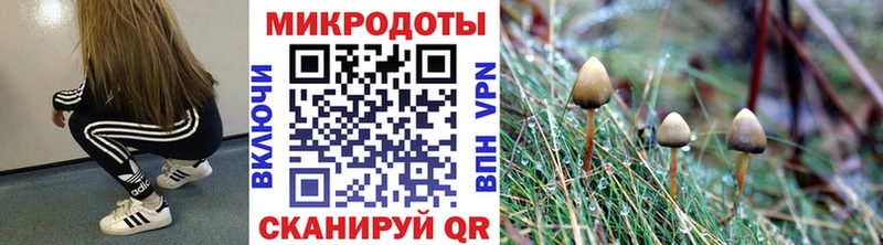 Галлюциногенные грибы GOLDEN TEACHER  что такое наркотик  Электроугли 
